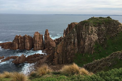 Half Day Phillip Island Woolamai Walking Tour - Gold Coast Attractions 16