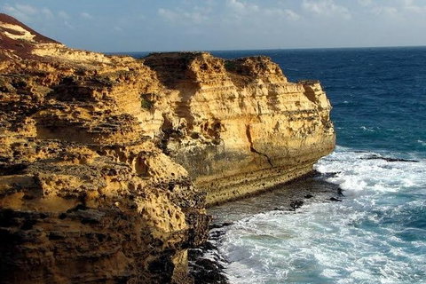 Half Day Phillip Island Woolamai Walking Tour - Gold Coast Attractions 12