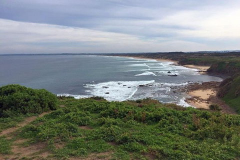 Half Day Phillip Island Woolamai Walking Tour - Gold Coast Attractions 13