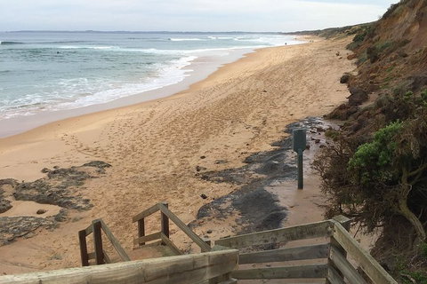 Half Day Phillip Island Woolamai Walking Tour - Gold Coast Attractions 11