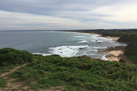 Half Day Phillip Island Woolamai Walking Tour - Gold Coast Attractions 10