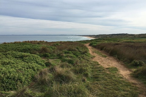 Half Day Phillip Island Woolamai Walking Tour - Gold Coast Attractions 3