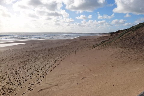 Half Day Phillip Island Woolamai Walking Tour - Gold Coast Attractions 7