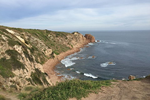 Half Day Phillip Island Woolamai Walking Tour - Gold Coast Attractions 2