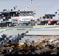 Phillip Island Seal-Watching Cruise - Gold Coast Attractions