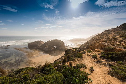 Around The Bay Sightseeing And Bay Cruise - Gold Coast Attractions 7