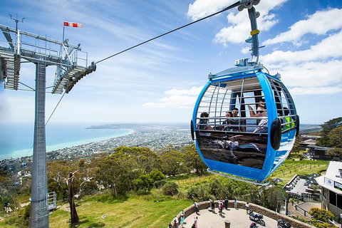 Around The Bay Sightseeing And Bay Cruise - Gold Coast Attractions 8