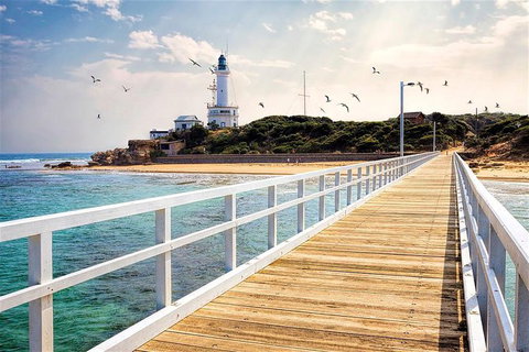 Around The Bay Sightseeing And Bay Cruise - Gold Coast Attractions 9