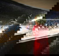 Phillip Island Private Tour - Gold Coast Attractions