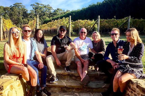 5 Hour Private Wine Tour - Gold Coast Attractions 5