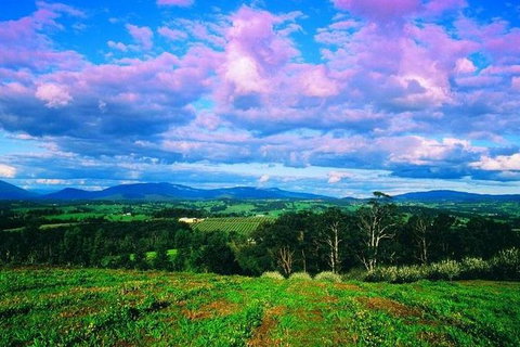 CHEVY CONVERTIBLE Package For 4 -Wine Lunch Cheese & Chocolate From Yarra Valley - Gold Coast Attractions 7