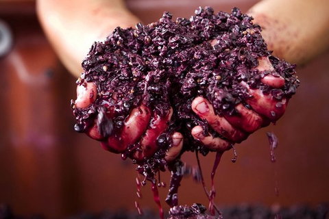 CHEVY CONVERTIBLE Package For 4 -Wine Lunch Cheese & Chocolate From Yarra Valley - Gold Coast Attractions 5
