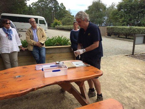 Bruny Island All Inclusive Gourmet Day Trip From Hobart - Gold Coast Attractions 17