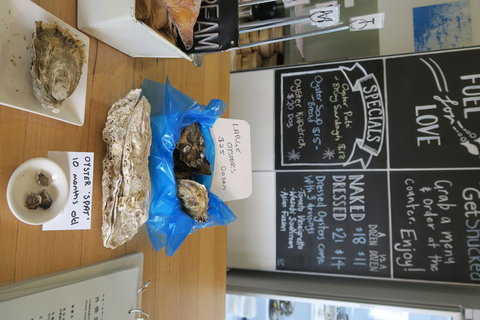 Bruny Island All Inclusive Gourmet Day Trip From Hobart - Gold Coast Attractions 12