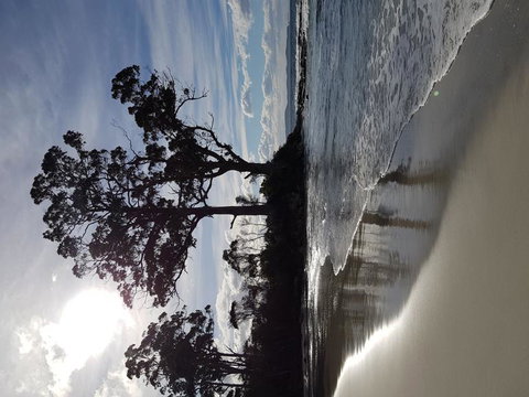 Bruny Island All Inclusive Gourmet Day Trip From Hobart - Gold Coast Attractions 5