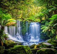 Day Tour in Mt. Field Mt. Wellington Bonorong Wildlife Sanctuary and Richmond - Gold Coast Attractions