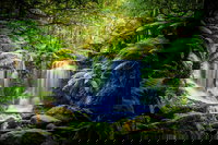 Day Tour in Mt. Field Mt. Wellington Bonorong Wildlife Sanctuary and Richmond