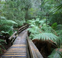 Small-group DayTour from Hobart Hastings Caves Huon Valley and Tahune AirWalk - Gold Coast Attractions