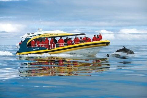 3-Hour Tasman Peninsula Wilderness Cruise From Port Arthur - Gold Coast Attractions 5