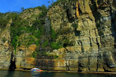 3-Hour Tasman Peninsula Wilderness Cruise From Port Arthur - Gold Coast Attractions 7