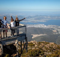 Mt Field National Park Active Day-Trip Including Bonorong and Mt Wellington - Gold Coast Attractions