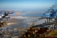 Mt Field National Park Active Day-Trip Including Bonorong and Mt Wellington