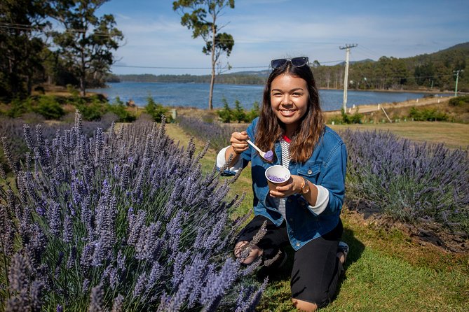 Hobart TAS Gold Coast Attractions