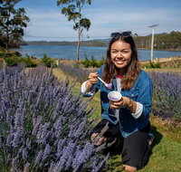Port Arthur and Lavender Farm Active Day Tour - Gold Coast Attractions