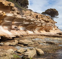 Maria Island premium private photo-oriented day tour from Hobart - Gold Coast Attractions