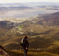 Mt Wellington Half Day Guided Summit Hike - Gold Coast Attractions