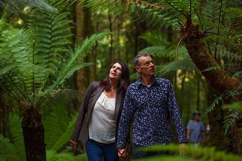 West Coast Wilderness Railway: River And Rainforest From Strahan - Gold Coast Attractions 1