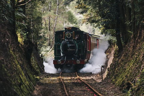 West Coast Wilderness Railway: River And Rainforest From Strahan - Gold Coast Attractions 0