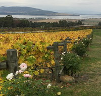 Mona and Wine Experience Tour - Gold Coast Attractions