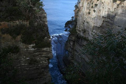 Cruise Ship Special From Port Arthur: Explore Tasman Peninsula With Free WiFi - Gold Coast Attractions 1