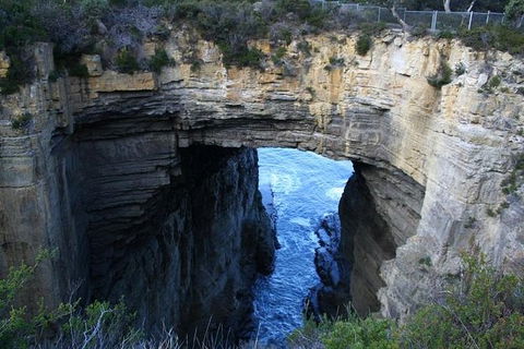 Cruise Ship Special From Port Arthur: Explore Tasman Peninsula With Free WiFi - Gold Coast Attractions 0