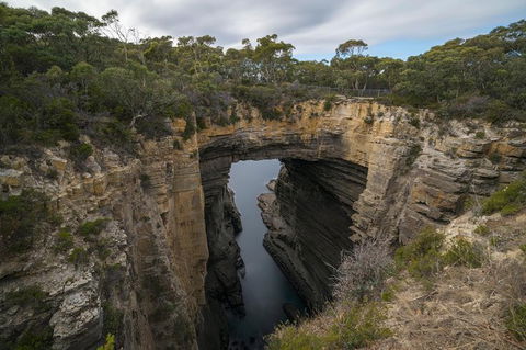 Cruise Ship Special From Port Arthur: Explore Tasman Peninsula With Free WiFi - Gold Coast Attractions 2