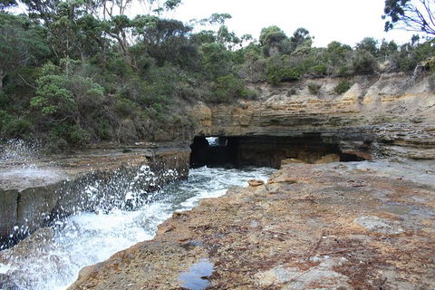 Cruise Ship Special From Port Arthur: Explore Tasman Peninsula With Free WiFi - Gold Coast Attractions 7