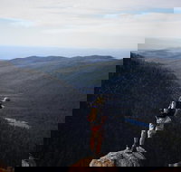 Mount Field National Park - Tarn Shelf  Russell Falls - Guided Hiking Tour - Gold Coast Attractions