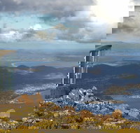 Half-Day Mt Wellington Summit Tour from Hobart - Gold Coast Attractions