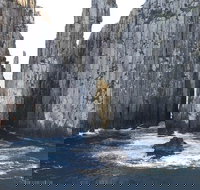 Day Trip to Tasman Peninsula and Port Arthur Historic Site from Hobart - Gold Coast Attractions