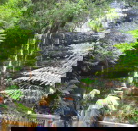 Mt Field National Park and Russell Falls from Hobart - Gold Coast Attractions