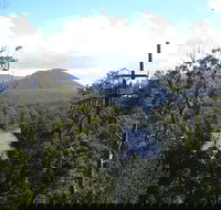 Huon Valley and Tahune Forest Airwalk Tour from Hobart - Gold Coast Attractions