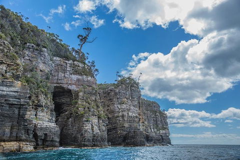 Shore Excursion - Port Arthur - Tasman Peninsula - Gold Coast Attractions 1