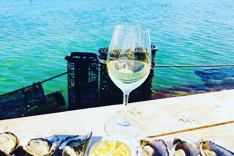 Coffin Bay Oyster Farm & Tasting Tour - Gold Coast Attractions 11