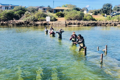 Coffin Bay Oyster Farm & Tasting Tour - Gold Coast Attractions 6
