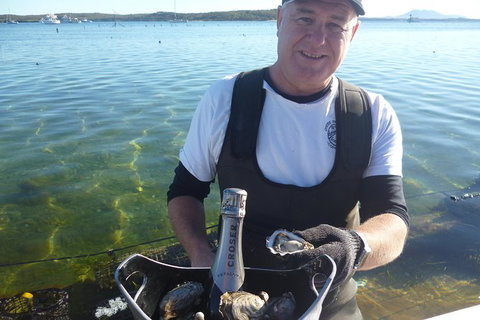 Coffin Bay Oyster Farm & Tasting Tour - Gold Coast Attractions 2