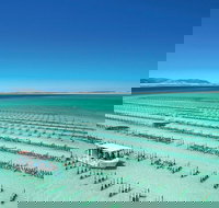 Coffin Bay Private Day Tour from Port Lincoln - A Taste of Coffin Bay - Gold Coast Attractions