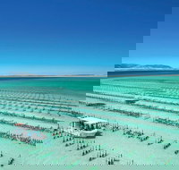 Coffin Bay Day Tour - A Taste of Coffin Bay - Gold Coast Attractions