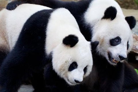 Adelaide City Tour With Optional River Cruise And Adelaide Zoo Admission - Gold Coast Attractions 1
