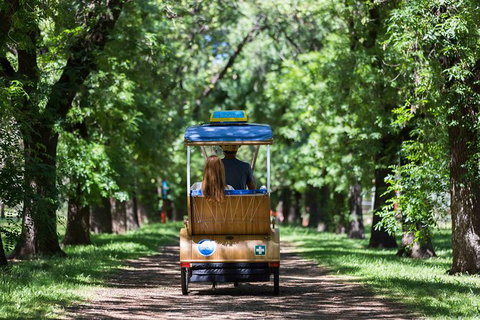 Adelaide 90-Minute Pedicab Tour: Scenic Green & River Experience - Gold Coast Attractions 0
